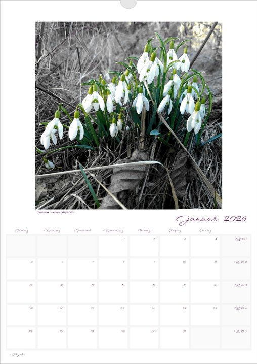 Kalender 'la vie en fleur' 2026 beschreibbar