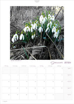 Lade das Bild in den Galerie-Viewer, Kalender &#39;la vie en fleur&#39; 2026 beschreibbar
