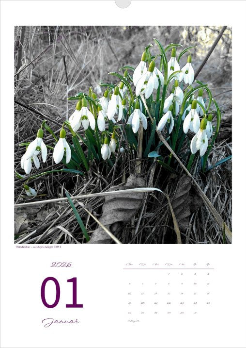 Kalender 'la vie en fleur' 2026 Kunstdruck