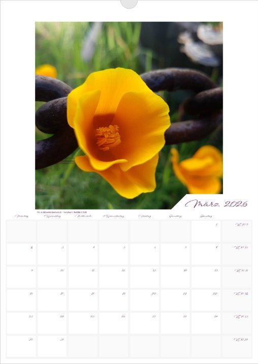 Kalender 'la vie en fleur' 2026 beschreibbar