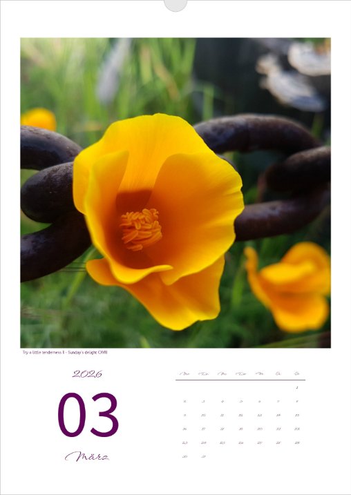 Kalender 'la vie en fleur' 2026 Kunstdruck