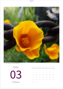 Kalender 'la vie en fleur' 2026 Kunstdruck