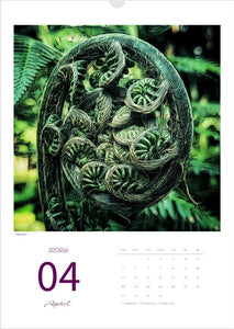 Kalender 'la vie en fleur' 2026 Kunstdruck