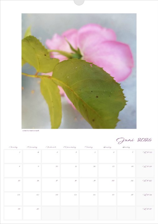 Kalender 'la vie en fleur' 2026 beschreibbar