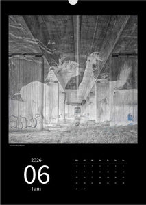 's p e c t O c u l a r' Kalender 2026 Kunstdruck