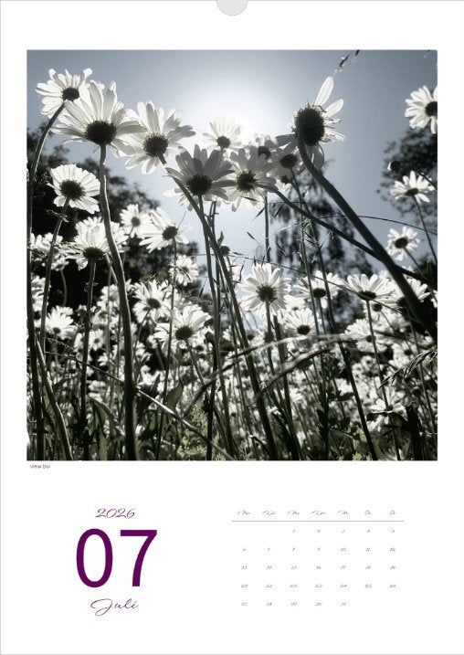 Kalender 'la vie en fleur' 2026 Kunstdruck
