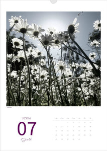Kalender 'la vie en fleur' 2026 Kunstdruck