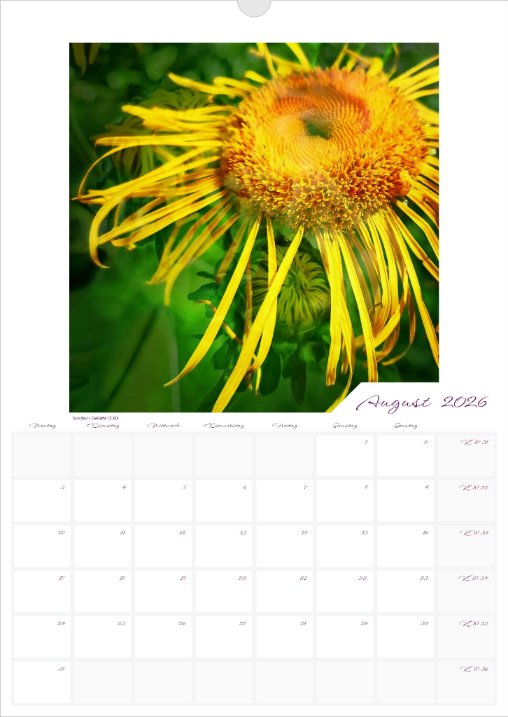 Kalender 'la vie en fleur' 2026 beschreibbar