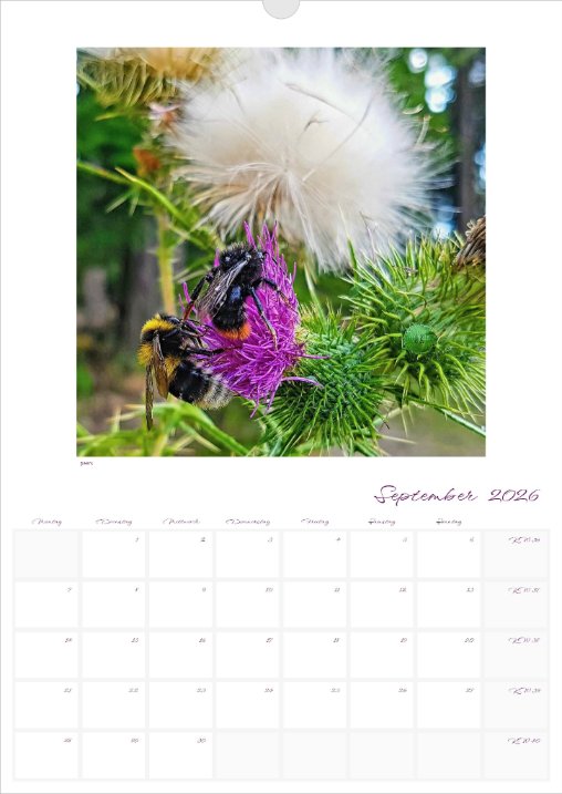 Kalender 'la vie en fleur' 2026 beschreibbar