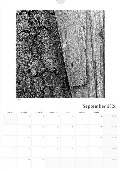 's p e c t O c u l a r' Kalender 2026 beschreibbar