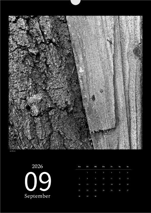 's p e c t O c u l a r' Kalender 2026 Kunstdruck