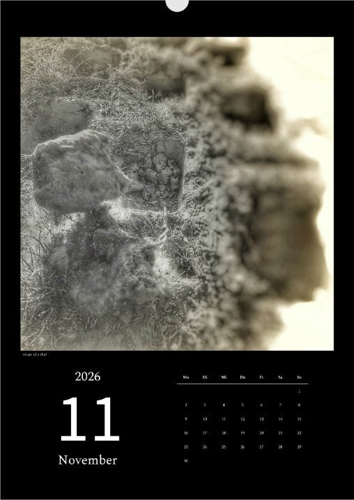 's p e c t O c u l a r' Kalender 2026 Kunstdruck