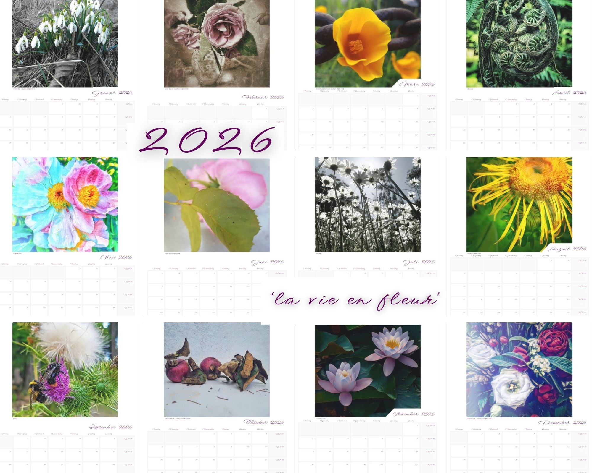 Kalender 'la vie en fleur' 2026 beschreibbar