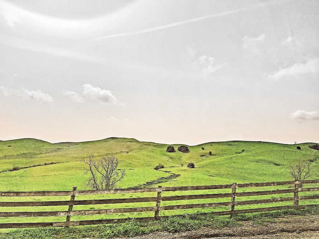 'Green Hills' Fine Art Print