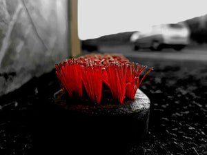 'red brush - things in the street XXXIX'